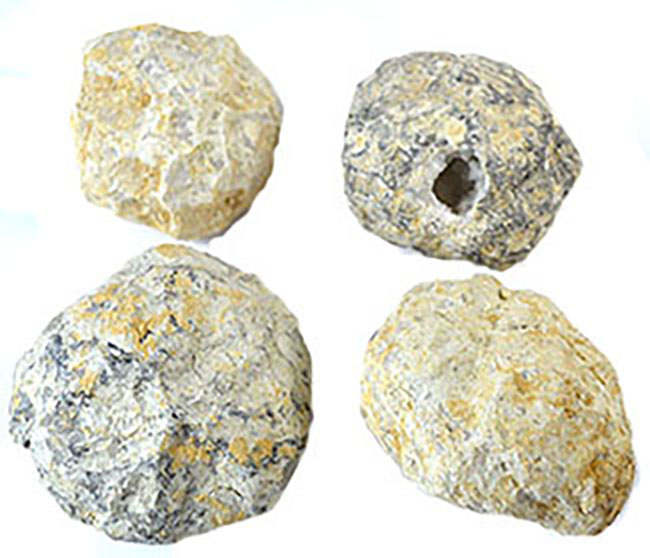 Crackable Geode (3-4/box)